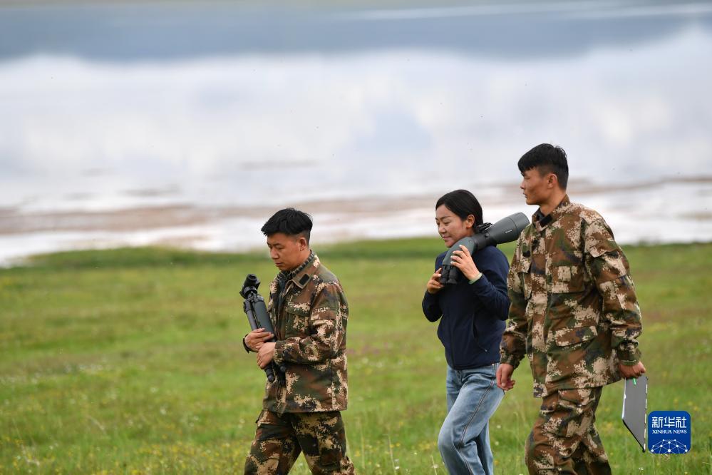 金沙小游戏